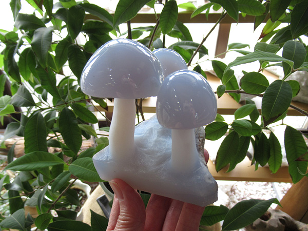 キノコの石 ブルーカルセドニー きのこ トルコ産 通販 | 天然石販売専門店【鬮石】