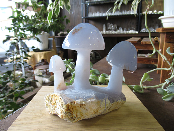 ブルーカルセドニー きのこ 通販 原石 彫刻