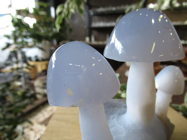 ブルーカルセドニー きのこ 通販 原石 彫刻