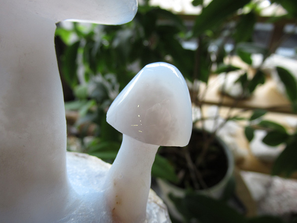 ブルーカルセドニー きのこ 通販 原石 彫刻