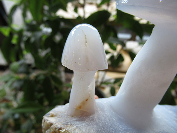 ブルーカルセドニー きのこ 通販 原石 彫刻