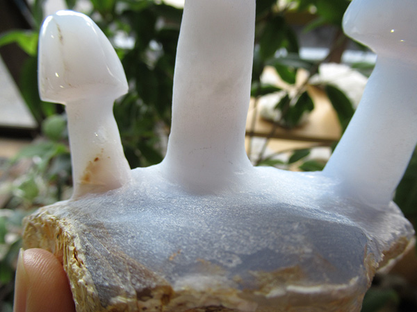 ブルーカルセドニー きのこ 通販 原石 彫刻