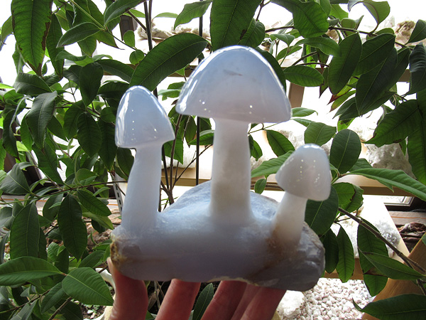 ブルーカルセドニー きのこ 通販 原石 彫刻