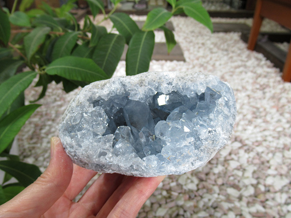 セレスタイト・クラスター 原石 約1㎏ 天青石 クリスタル 水晶 【公式