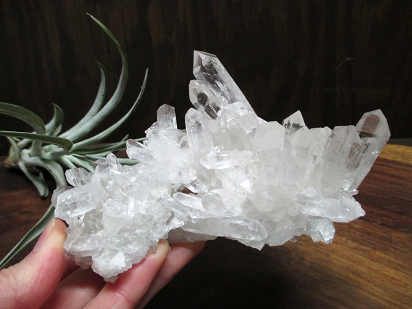 高品質 トマスゴンサガ産 クラスター クリスタル 7 虹入り》希少