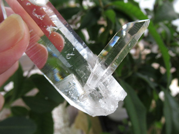 コロンビア産 レムリアンシードクリスタル 最高品質 水晶 原石 販売