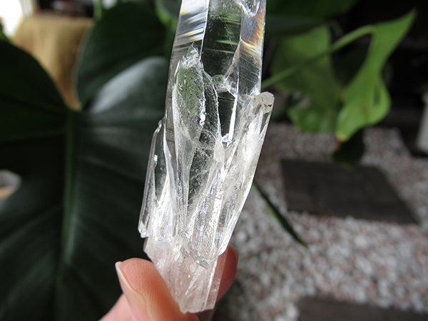 コロンビア産 レムリアンシードクリスタル 最高品質 水晶 原石