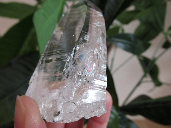 コロンビア産 レムリアンシードクリスタル 最高品質 水晶 原石