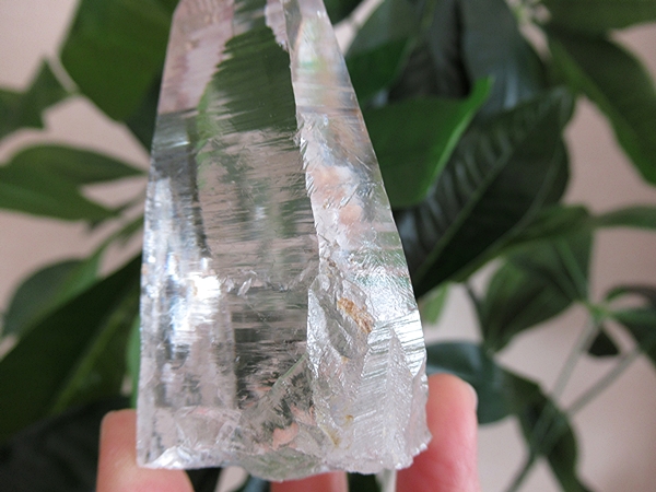 コロンビア産 レムリアンシードクリスタル 最高品質 水晶 原石