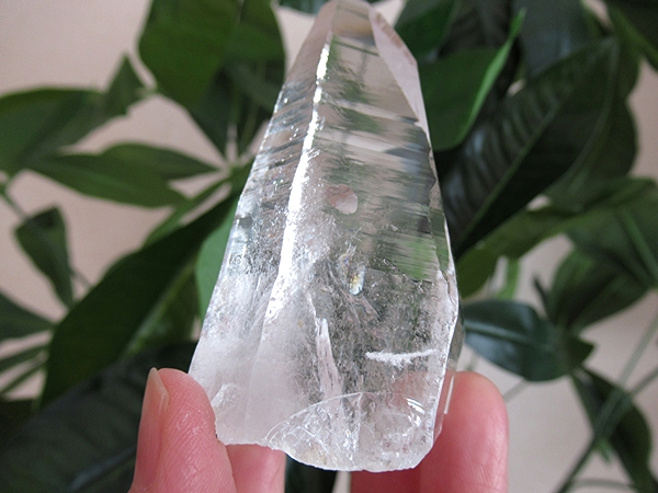 コロンビア産 レムリアンシードクリスタル 最高品質 水晶 原石