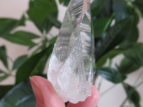 コロンビア産 レムリアンシードクリスタル 最高品質 水晶 原石