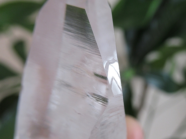 コロンビア産 レムリアンシードクリスタル 最高品質 水晶 原石