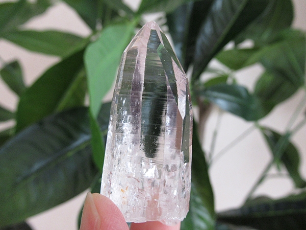コロンビア産 レムリアンシードクリスタル 最高品質 水晶 原石
