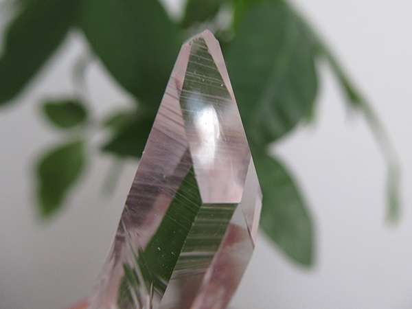 コロンビア産 レムリアンシードクリスタル 最高品質 水晶 原石