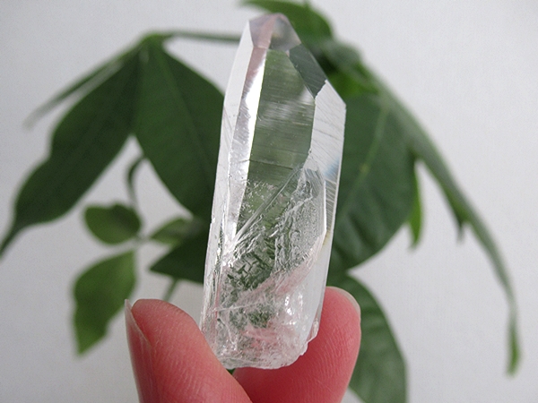 コロンビア産 レムリアンシードクリスタル 最高品質 水晶 原石