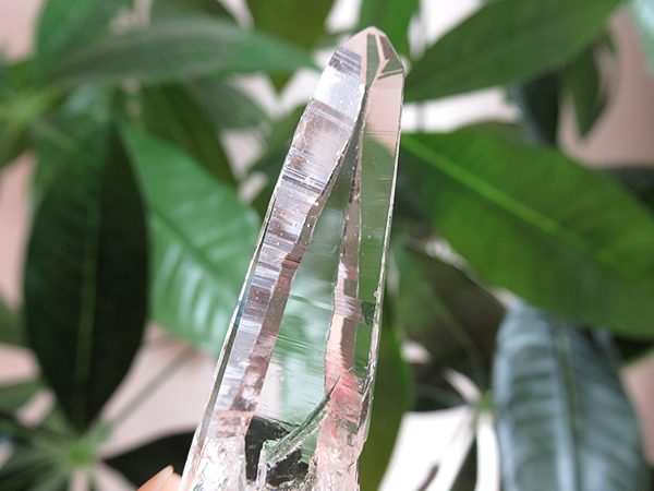 最高品質 コロンビア産 レムリアンシードクリスタル 原石 水晶