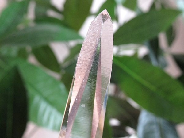 最高品質 コロンビア産 レムリアンシードクリスタル 原石 水晶