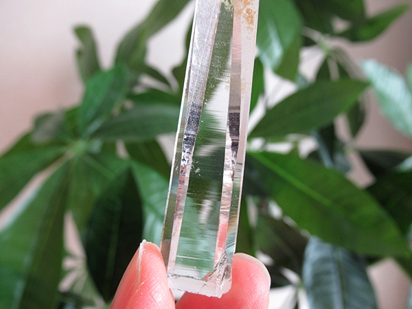 最高品質 コロンビア産 レムリアンシードクリスタル 原石 水晶