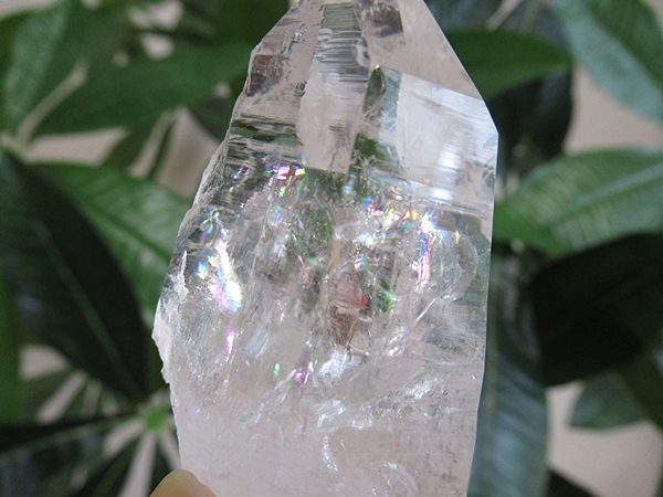 高品質 コロンビア産 レムリアンシードクリスタル 原石 水晶