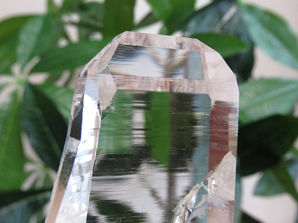高品質 コロンビア産 レムリアンシードクリスタル 原石 水晶
