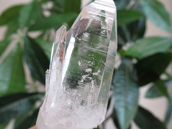 高品質 コロンビア産 レムリアンシードクリスタル 原石 水晶