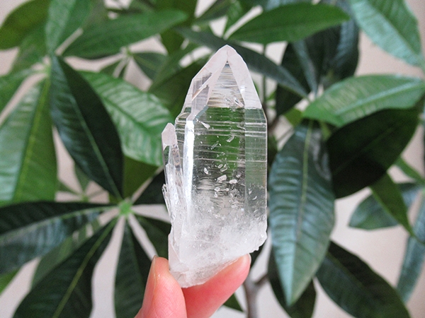 高品質 コロンビア産 レムリアンシードクリスタル 原石 水晶