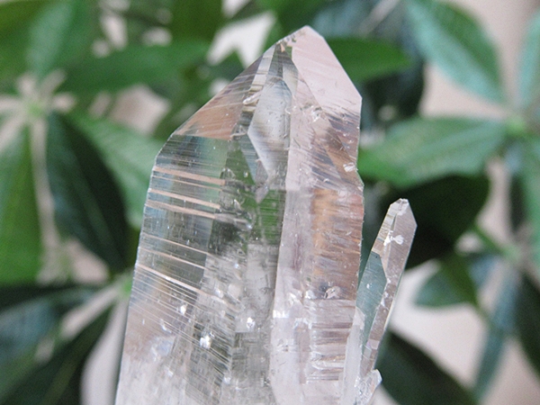 高品質 コロンビア産 レムリアンシードクリスタル 原石 水晶