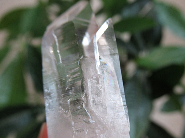 高品質 コロンビア産 レムリアンシードクリスタル 原石 水晶