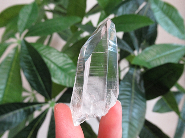高品質 コロンビア産 レムリアンシードクリスタル 原石 水晶