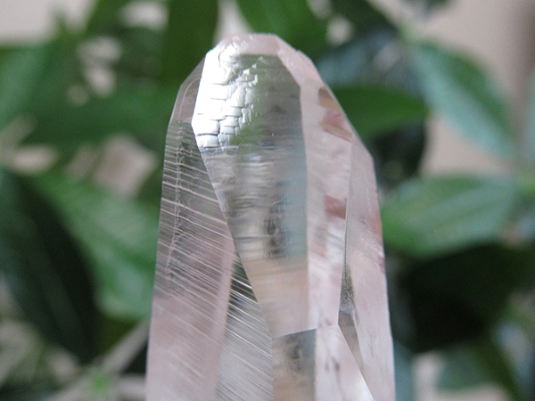 高品質 コロンビア産 レムリアンシードクリスタル 原石 水晶