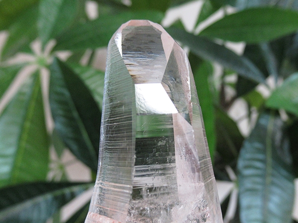 高品質 コロンビア産 レムリアンシードクリスタル 原石 水晶
