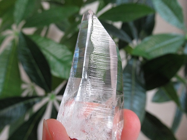 高品質 コロンビア産 レムリアンシードクリスタル 原石 水晶