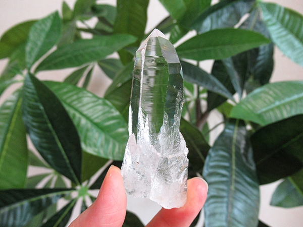 高品質 コロンビア産 レムリアンシードクリスタル 原石 水晶