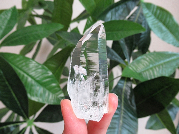 高品質 コロンビア産 レムリアンシードクリスタル 原石 水晶