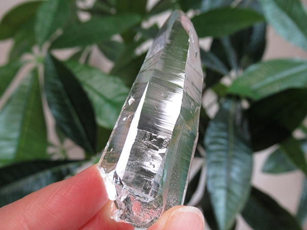 高品質 コロンビア産 レムリアンシードクリスタル 原石 水晶