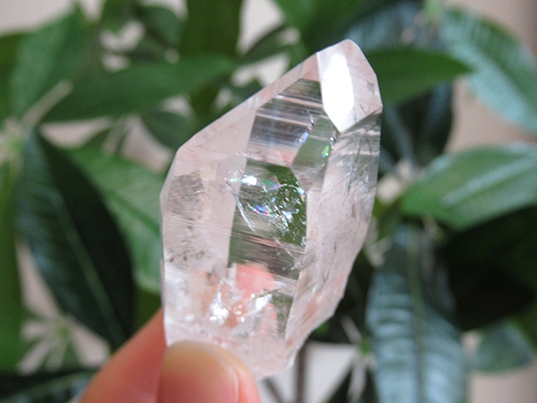 高品質 コロンビア産 レムリアンシードクリスタル 原石 水晶