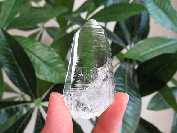 高品質 コロンビア産 レムリアンシードクリスタル 原石 水晶