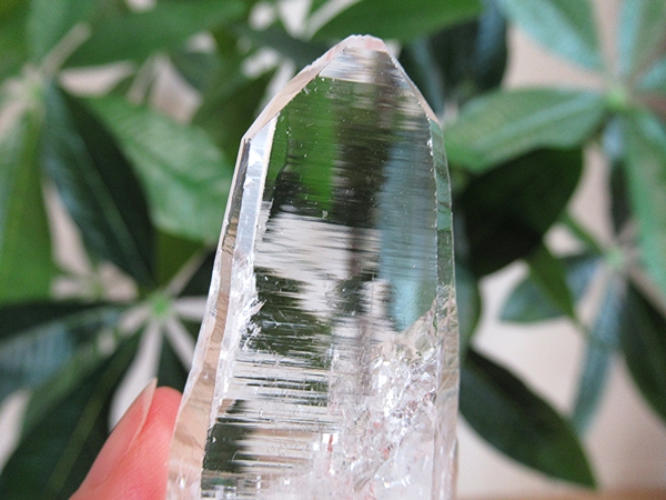 コロンビア産 レムリアンシードクリスタル 最高品質 水晶 原石