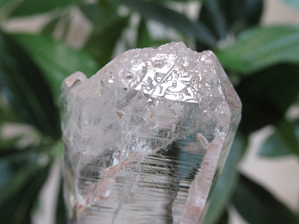 【最高品質】 コロンビア産 レムリアンシードクリスタル コロンビア産 レムリアンシードクリスタル 最高品質 水晶 原石