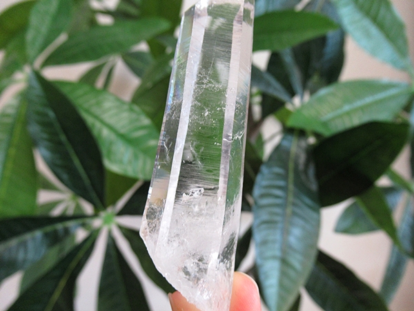 高品質 コロンビア産 レムリアンシードクリスタル 原石 水晶