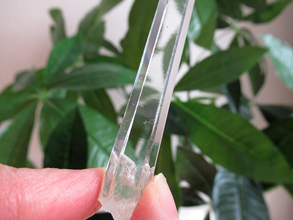 最高品質 コロンビア産 レムリアンシードクリスタル 原石 水晶