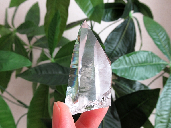コロンビア産 レムリアンシードクリスタル 水晶 原石 天然石