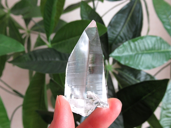 コロンビア産 レムリアンシードクリスタル 水晶 原石 天然石