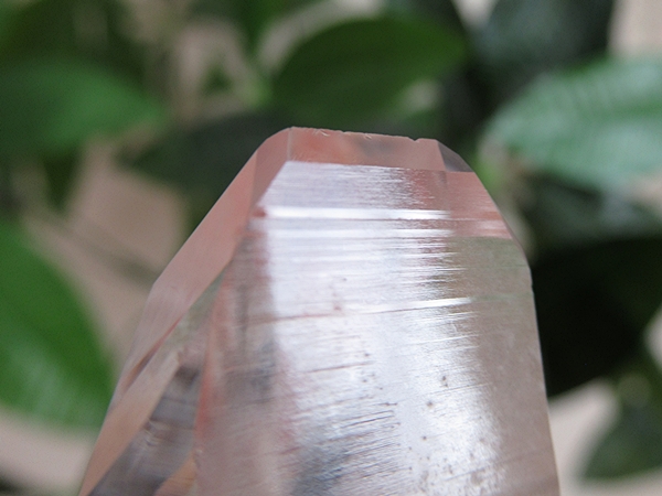 コロンビア産 レムリアンシードクリスタル 水晶 原石 天然石