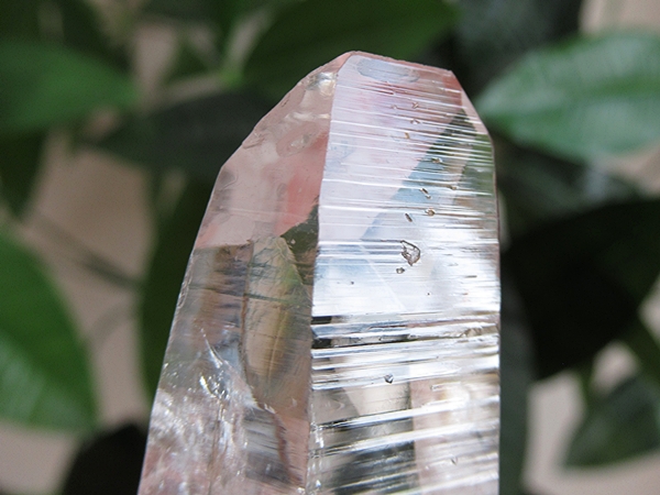 コロンビア産 レムリアンシードクリスタル 水晶 原石 天然石