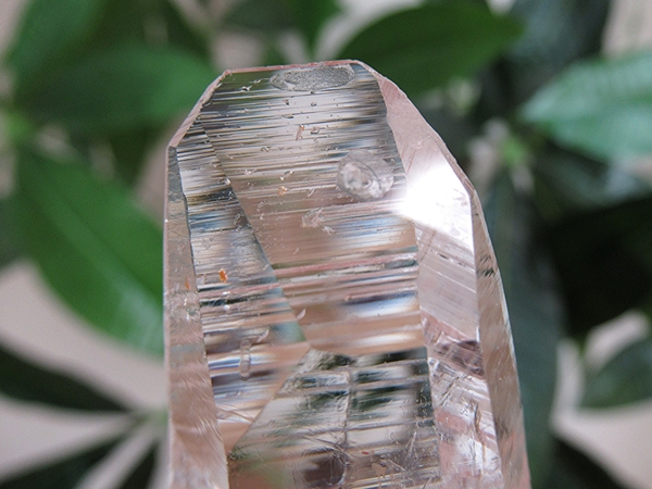 コロンビア産 レムリアンシードクリスタル 水晶 原石 天然石