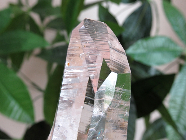 コロンビア産 レムリアンシードクリスタル 水晶 原石 天然石