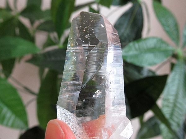 コロンビア産 レムリアンシードクリスタル 水晶 原石 天然石