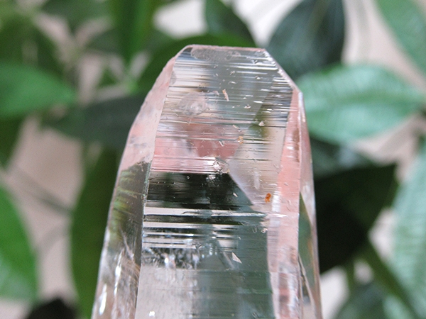 コロンビア産 レムリアンシードクリスタル 水晶 原石 天然石