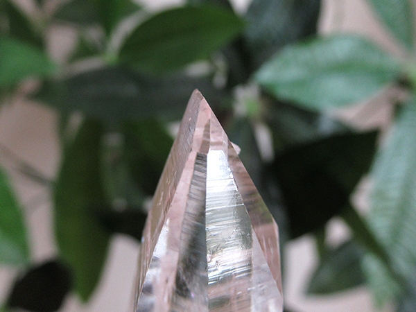 コロンビア産 レムリアンシードクリスタル 水晶 原石 天然石